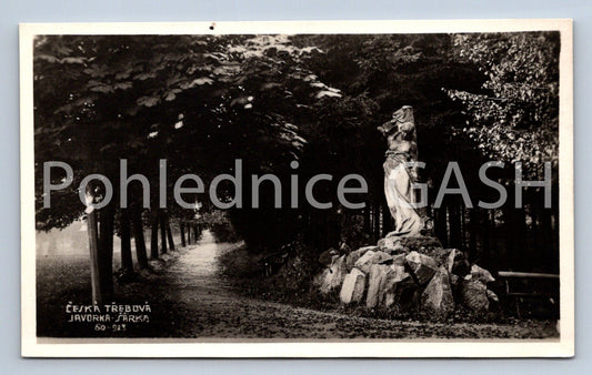 Pohlednice ČESKÁ TŘEBOVÁ (ST8323)