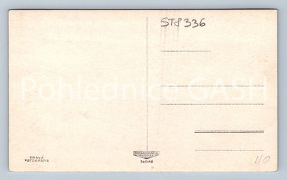 Pohlednice VODŇANY (ST8336)
