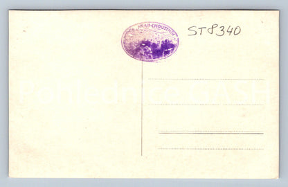 Pohlednice CHOUTNÍK HRAD (ST8340)