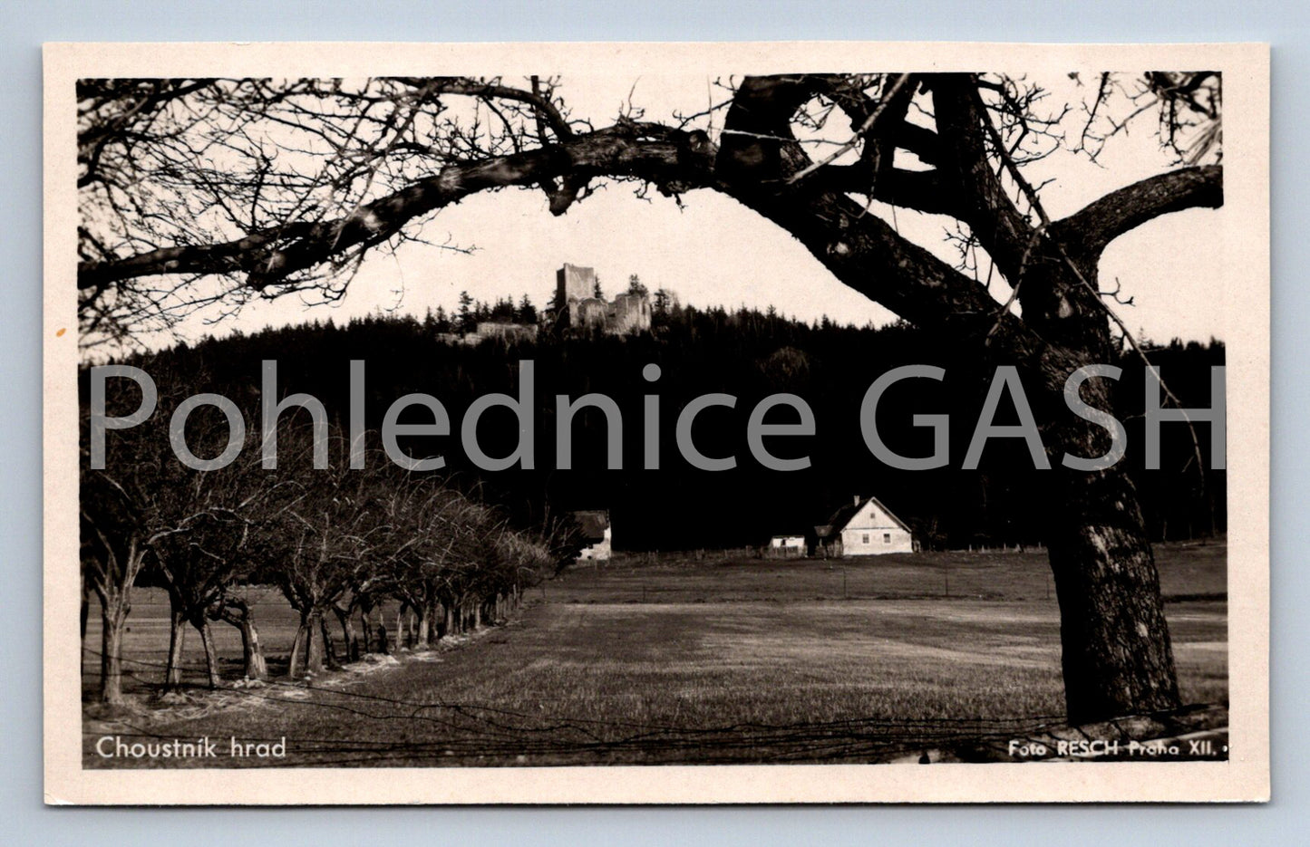 Pohlednice CHOUTNÍK HRAD (ST8340)