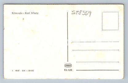 Pohlednice KRKONOŠE - KOZÍ HŘBETY (ST8359)