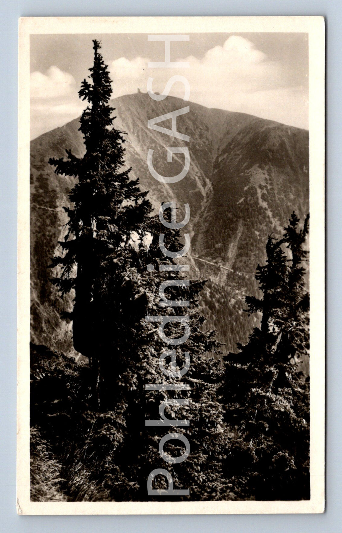 Pohlednice KRKONOŠE - SNĚŽKA (ST8361)