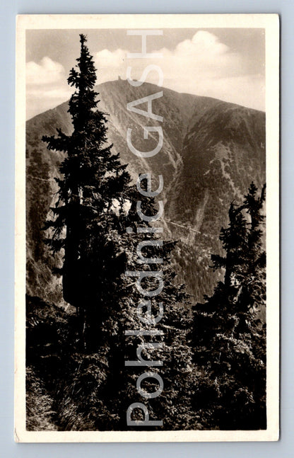 Pohlednice KRKONOŠE - SNĚŽKA (ST8361)