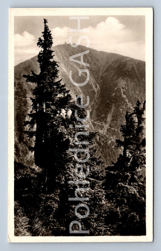 Pohlednice KRKONOŠE - SNĚŽKA (ST8361)