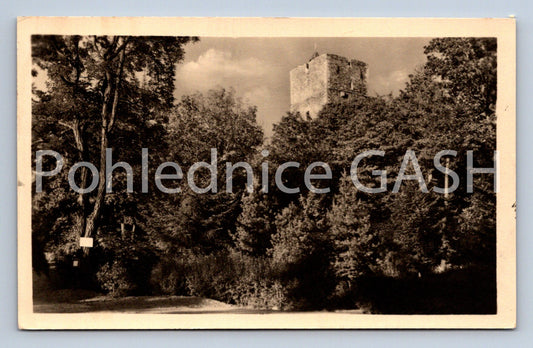 Postcard RADYNĚ CASTLE NEAR PLZNĚ (ST8369)