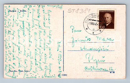 Pohlednice SUŠICE V KVĚTU (ST8381)