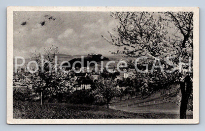 Pohlednice SUŠICE V KVĚTU (ST8381)