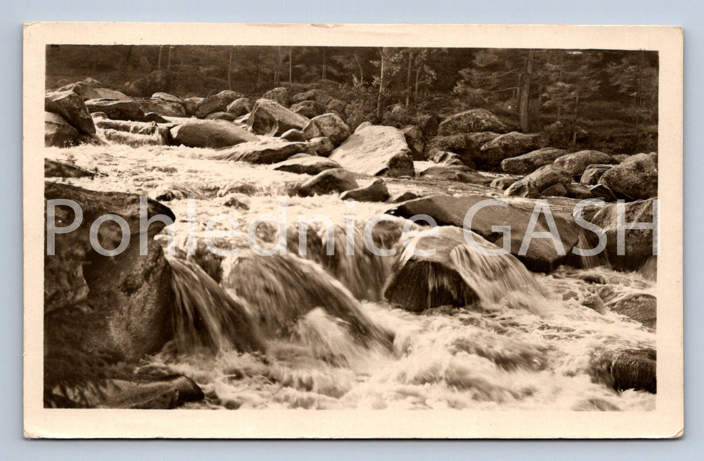 Pohlednice ŠUMAVA - SUŠICKO (ST8384)