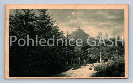 Pohlednice BURGRUINE BÖSIG (ST8404)