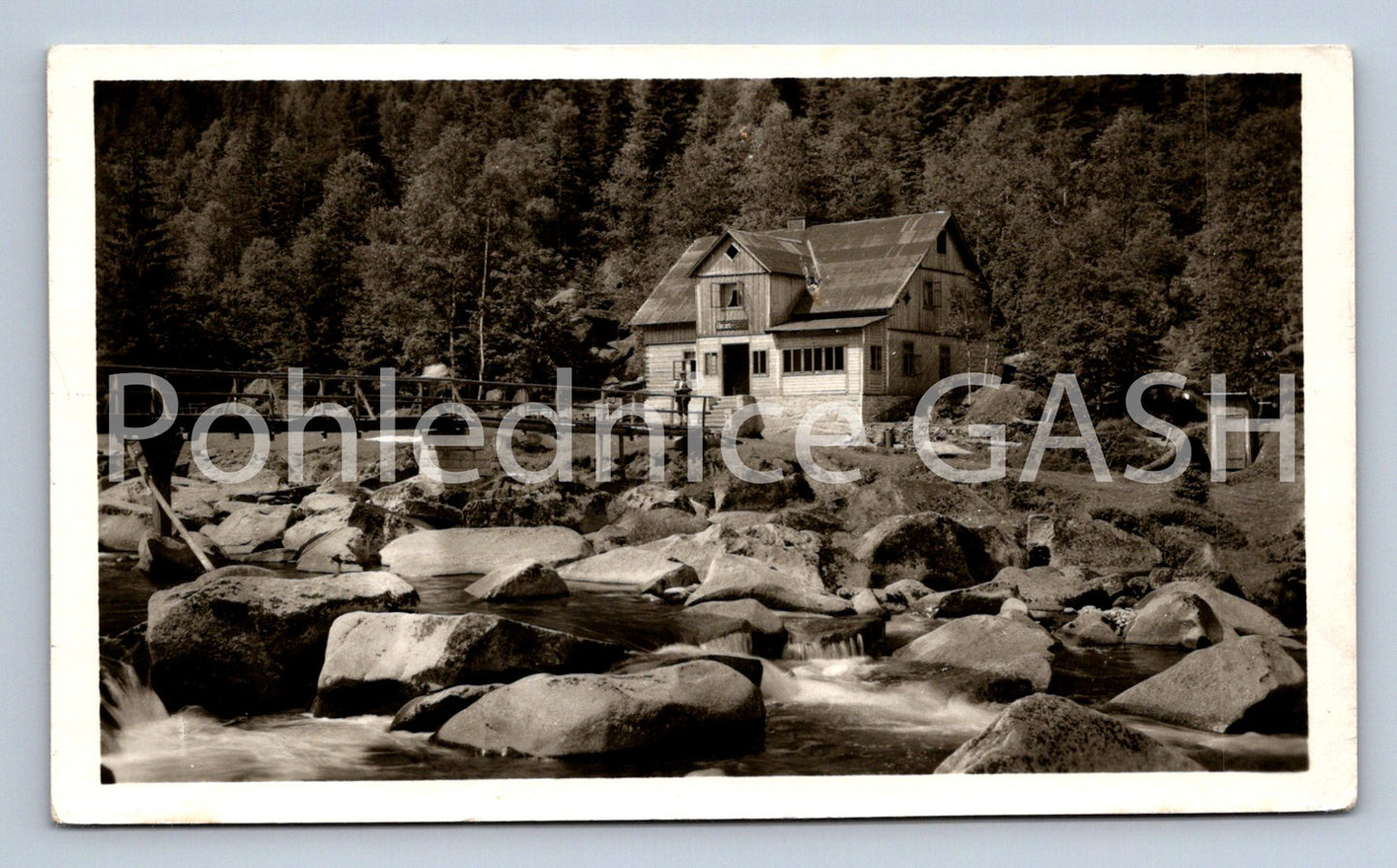 Postcard ŠUMAVA - SUŠICKO (ST8409)