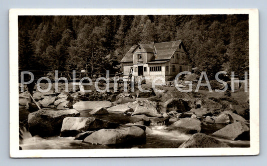 Postcard ŠUMAVA - SUŠICKO (ST8409)