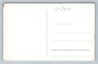 Pohlednice MŠENÉ LÁZNĚ U BUDYNĚ NAD OHŘÍ (ST8410)