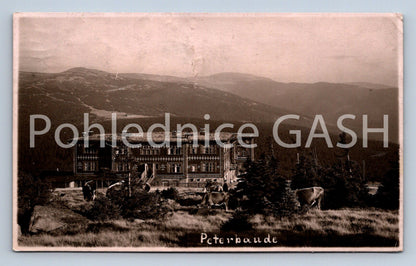 Pohlednice PETERBAUDE (ST8430)