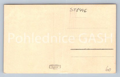 Pohlednice MACOCHA (ST8446)