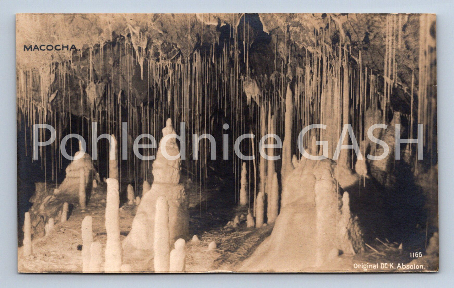 Pohlednice MACOCHA (ST8446)