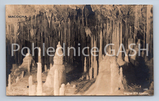 Pohlednice MACOCHA (ST8446)