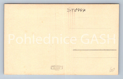 Pohlednice MACOCHA (ST8447)