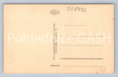 Pohlednice PARTIE Z JESKYŇ U MACOCHY (ST8452)