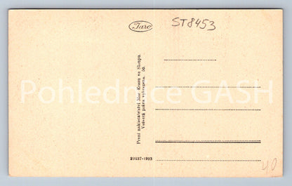 Pohlednice MACOCHA (ST8453)