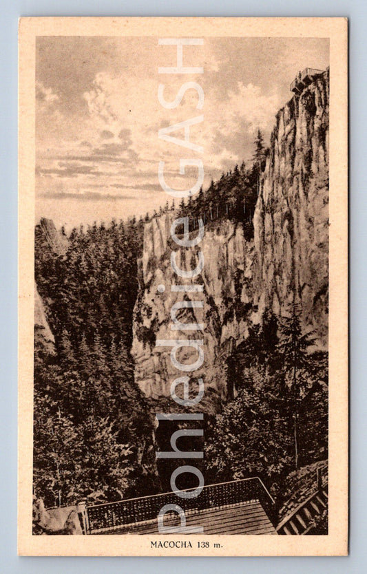 Pohlednice MACOCHA (ST8453)