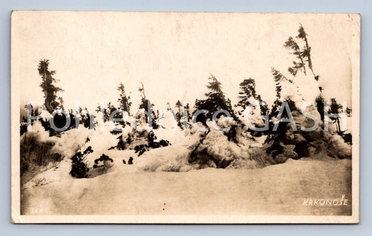 Pohlednice KRKONOŠE (ST8459)