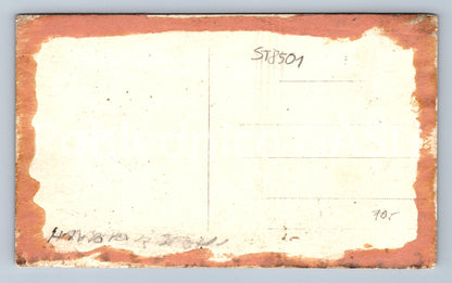 Pohlednice TRUTNOV (ST8501)