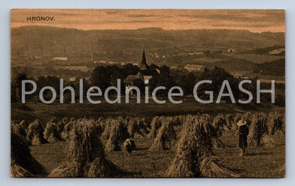 Pohlednice HRONOV (ST8535)