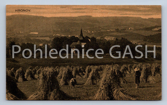 Pohlednice HRONOV (ST8535)