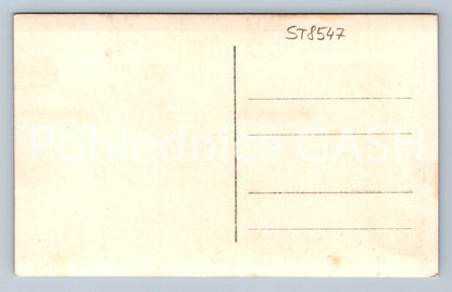 Pohlednice ČESKOMORAVSKÁ VYSOČINA (ST8547)