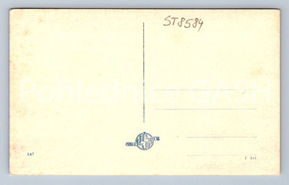 Pohlednice CHODSKO - VÝHLEDY (ST8584)