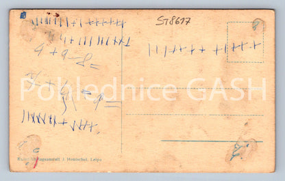 Pohlednice SOMMERFRISCHE HIRSOHBERG (ST8617)