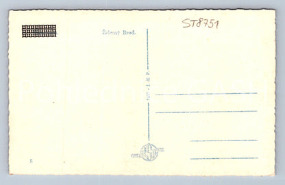 Pohlednice ŽELEZNÝ BROD (ST8751)