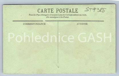 Pohlednice SCÉNES ET TYPES - JEUNE MAUTESQUE (ST9385)