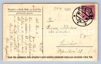 Pohlednice NA VESNICI mrzáčci z král pole (ST9401)