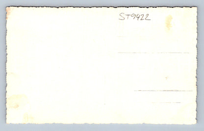 Pohlednice NA HORÁCH lyžař (ST9422)
