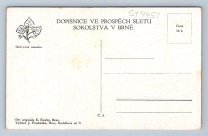Pohlednice ZÁJEZD Č.O.S. DO BRNA 1914 sokol (ST9451)