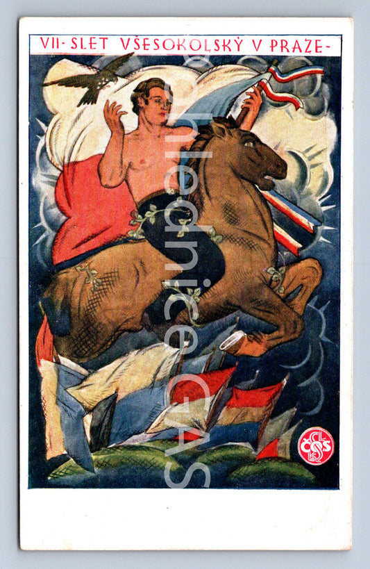 Pohlednice VII - SLET VŠESOKOLSKÝ V PRAZE (ST9505)