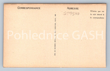 Pohlednice DAVID - NOTRE-DAME (ST9547)