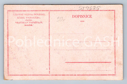 Pohlednice MUŽI V KROJÍCH (ST9625)