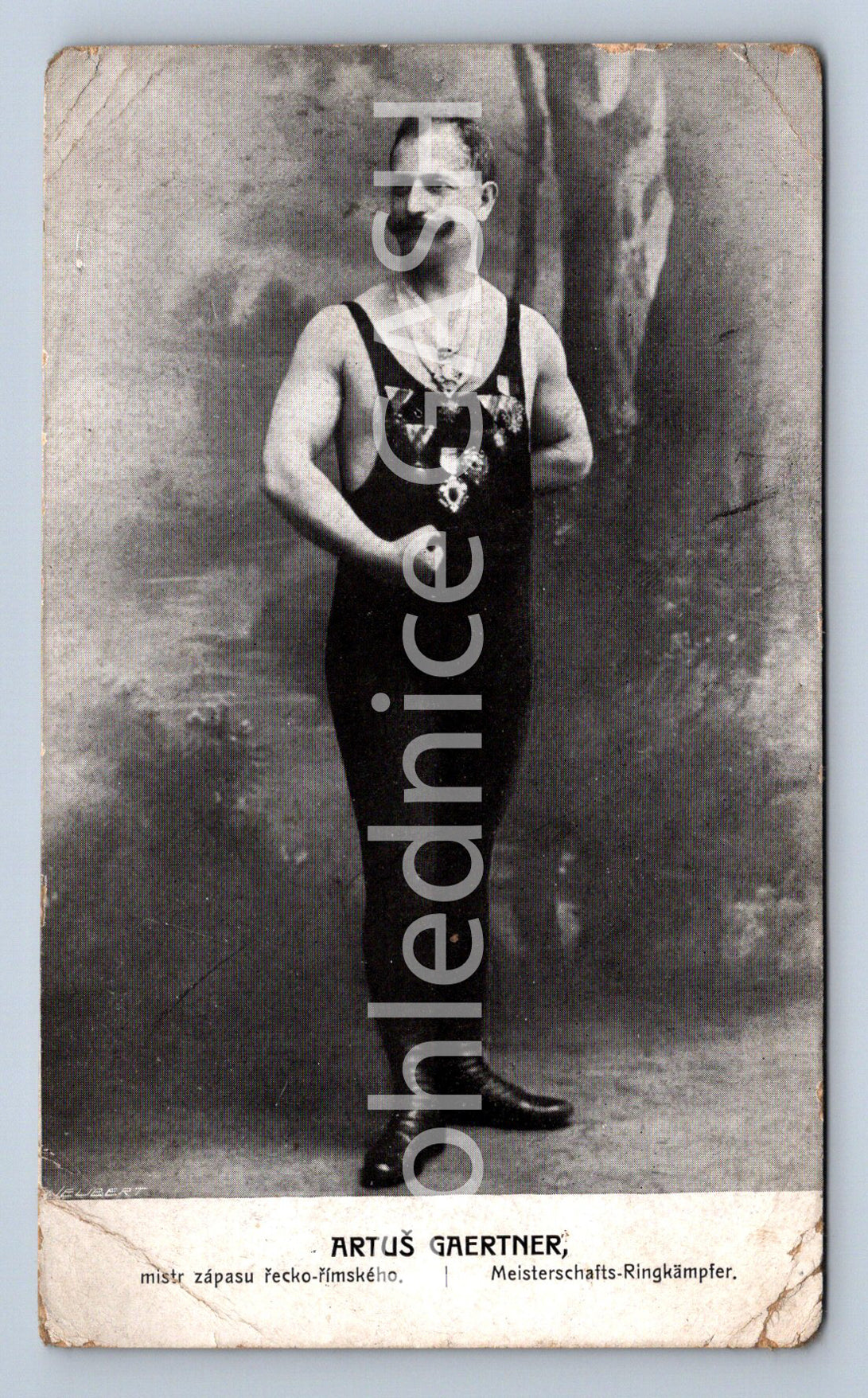 Pohlednice ARTUŠ GAERTNER atletika kulturistika (ST9630)