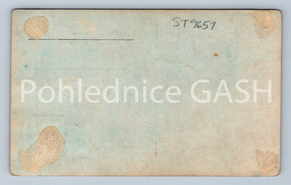 Pohlednice GRÄFIN AGNES ESTERHAZY (ST9651)