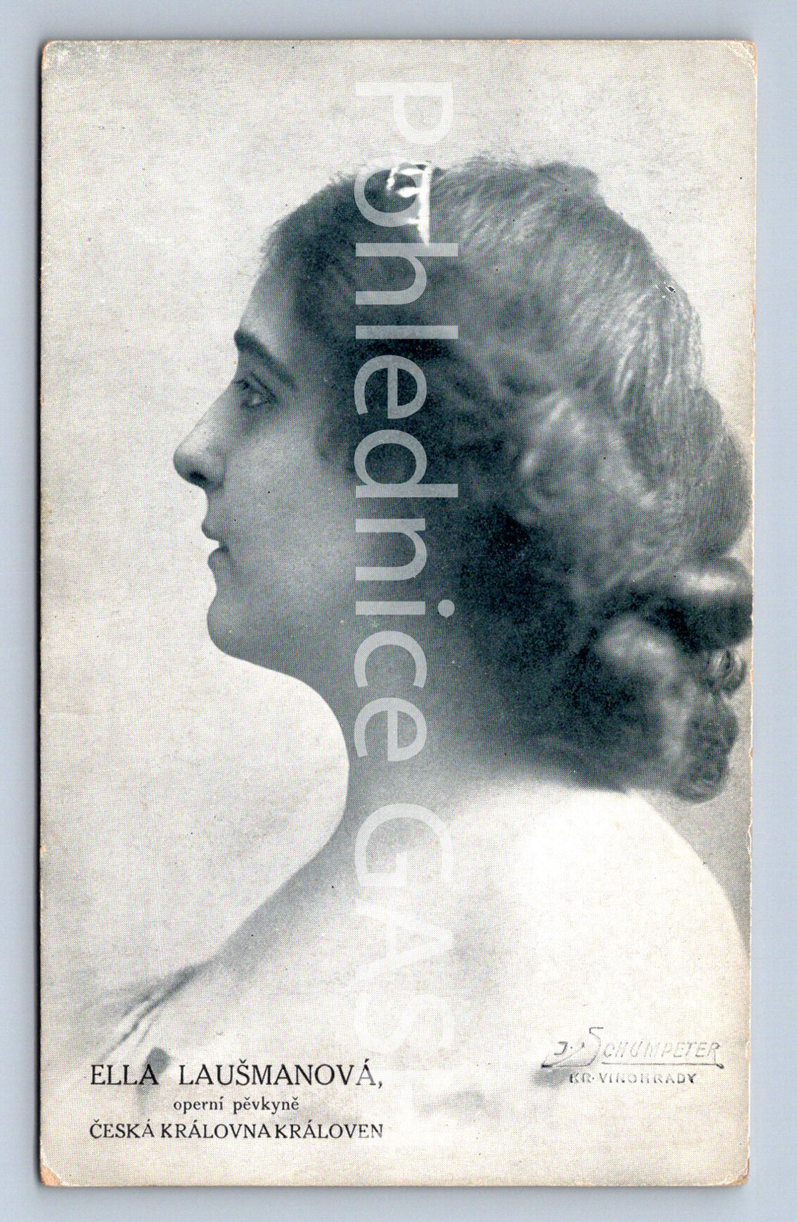 Pohlednice ELLA LAUŠMANOVÁ (ST9661)