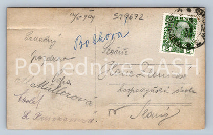 Pohlednice ŽENA V ŠATECH (ST9672)