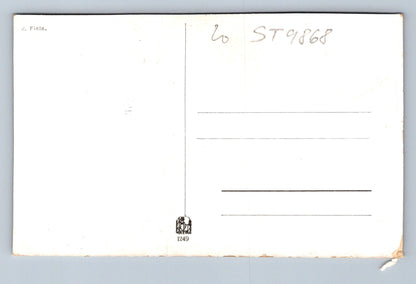 Pohlednice RODINNÉ ŠTĚSTÍ (ST9868)