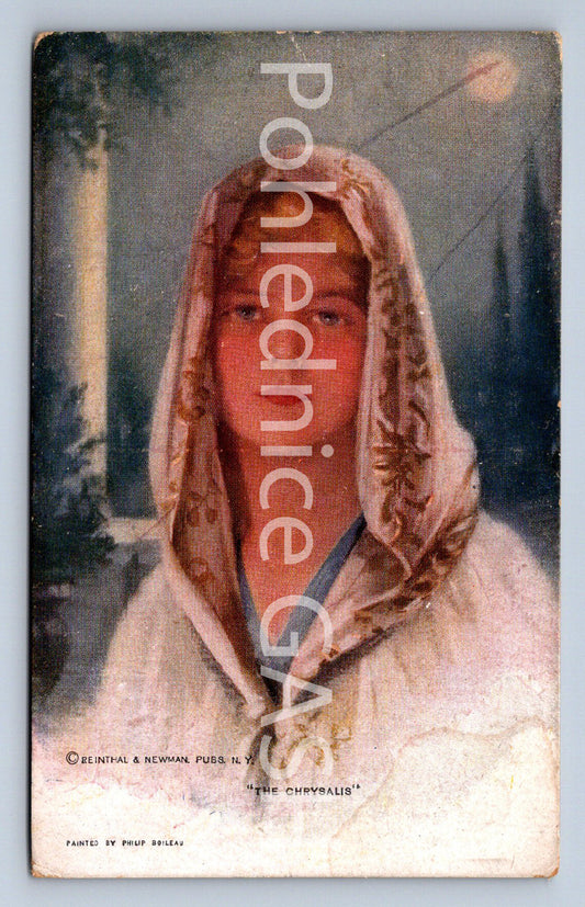 Pohlednice THE CHRISALIS (ST9878)
