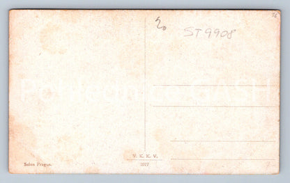 Pohlednice C. V. MUTTICH SULEJKA (ST9908)