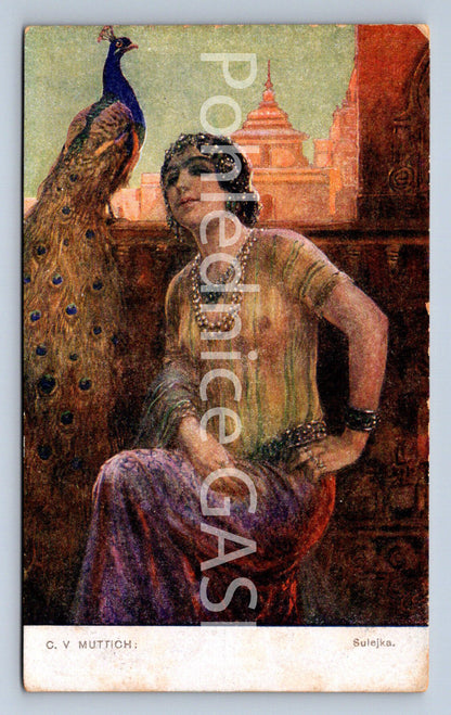 Pohlednice C. V. MUTTICH SULEJKA (ST9908)
