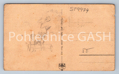 Pohlednice PROTO JSEM SI KANAFASKU KOUPILA (ST9974)