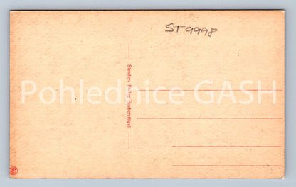 Pohlednice NA VESNICI (ST9998)