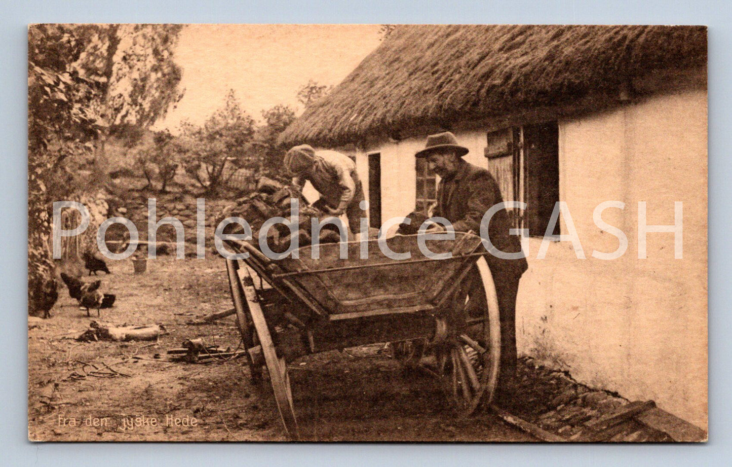 Pohlednice NA VESNICI (ST9998)